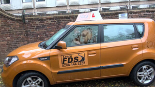 Fake Driving School cuki japán bige dugni akar